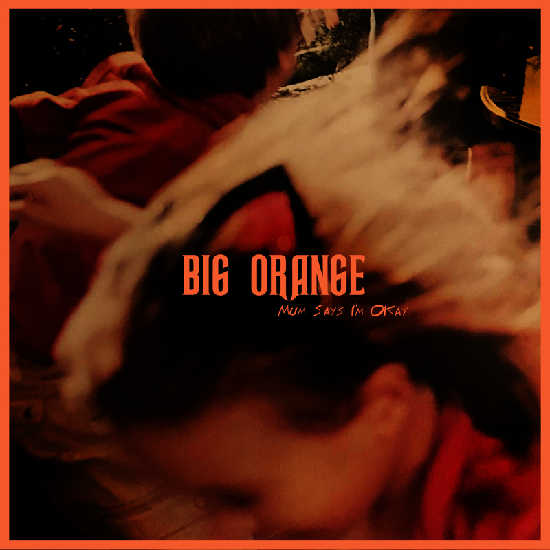 Big Orange 800x800